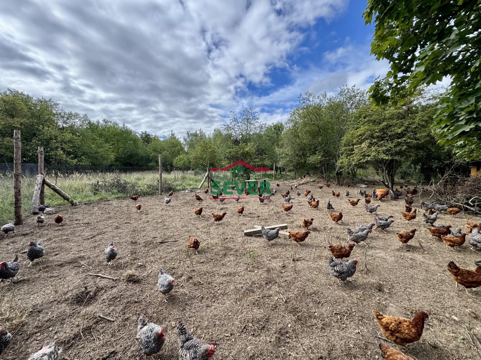 Prodej komerční pozemek - Janov, Litvínov, 10 231 m²