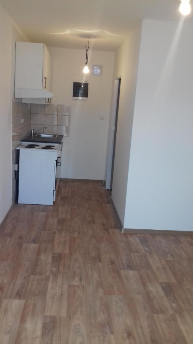 Pronájem byt 1+kk - Neuměřice - Neuměřice, Středočeský kraj, 18 m² - 1