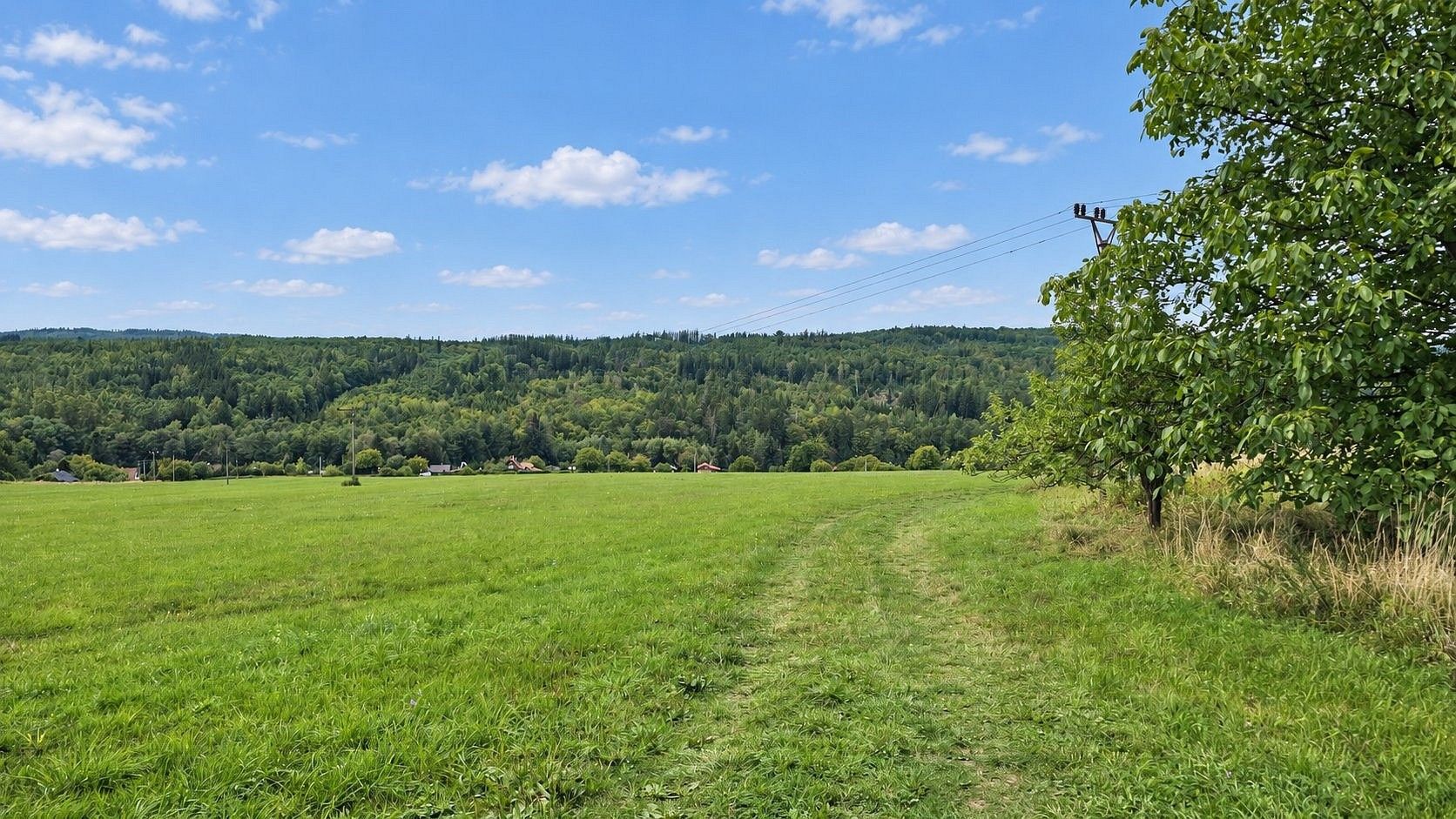 Louka · Nový Jáchymov, okres Beroun, Středočeský kraj - 4