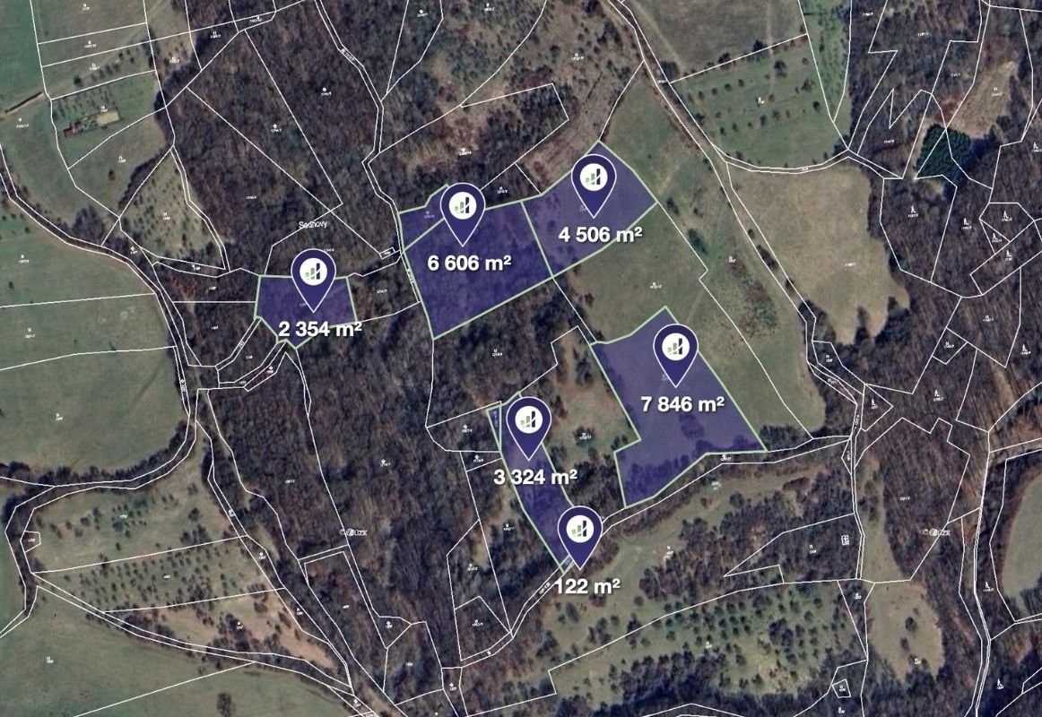 Prodej louka - Petrůvka, 32 380 m²