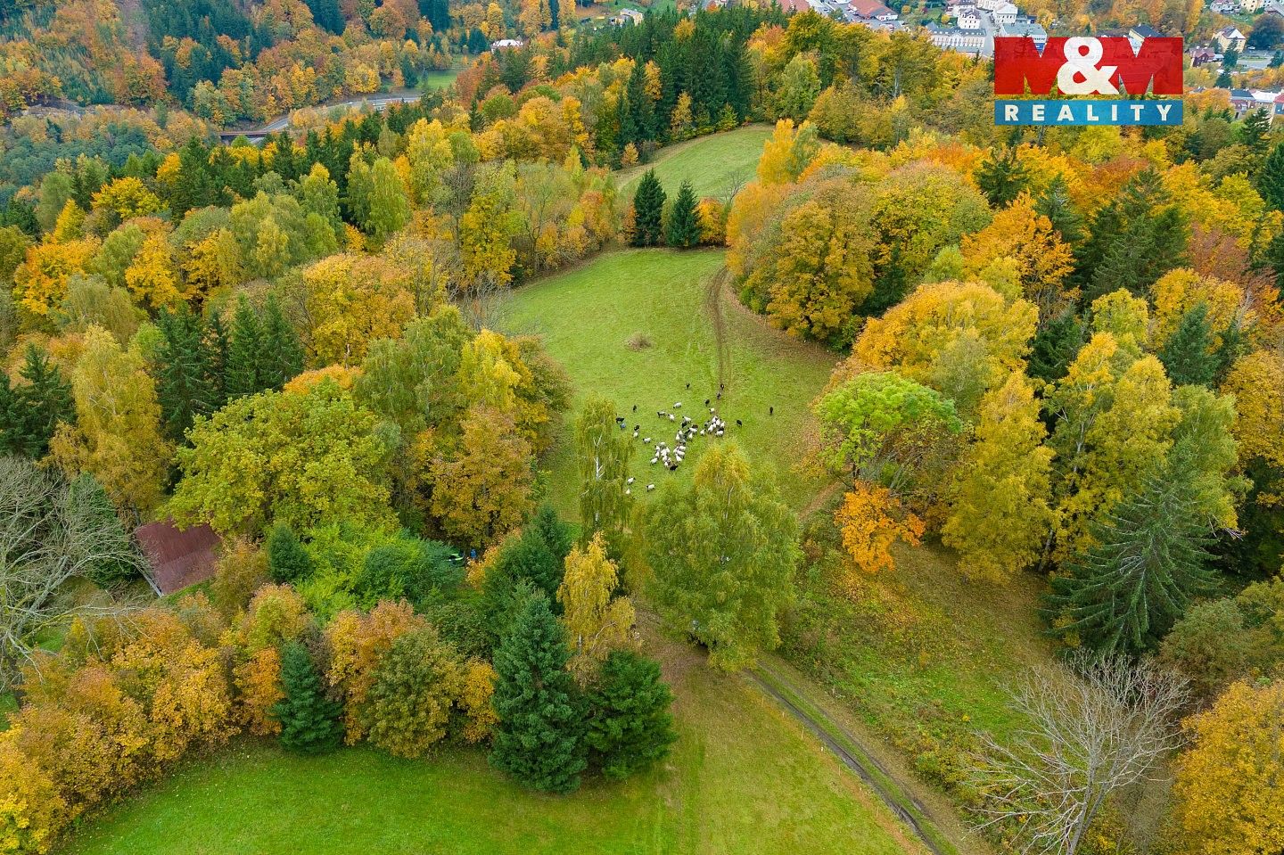 Louka · Tanvald - Šumburk nad Desnou, okres Jablonec nad Nisou - 3