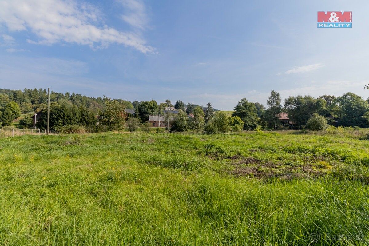 Prodej pozemek - Česká Rybná u Žamberka, 561 85, 2 296 m²