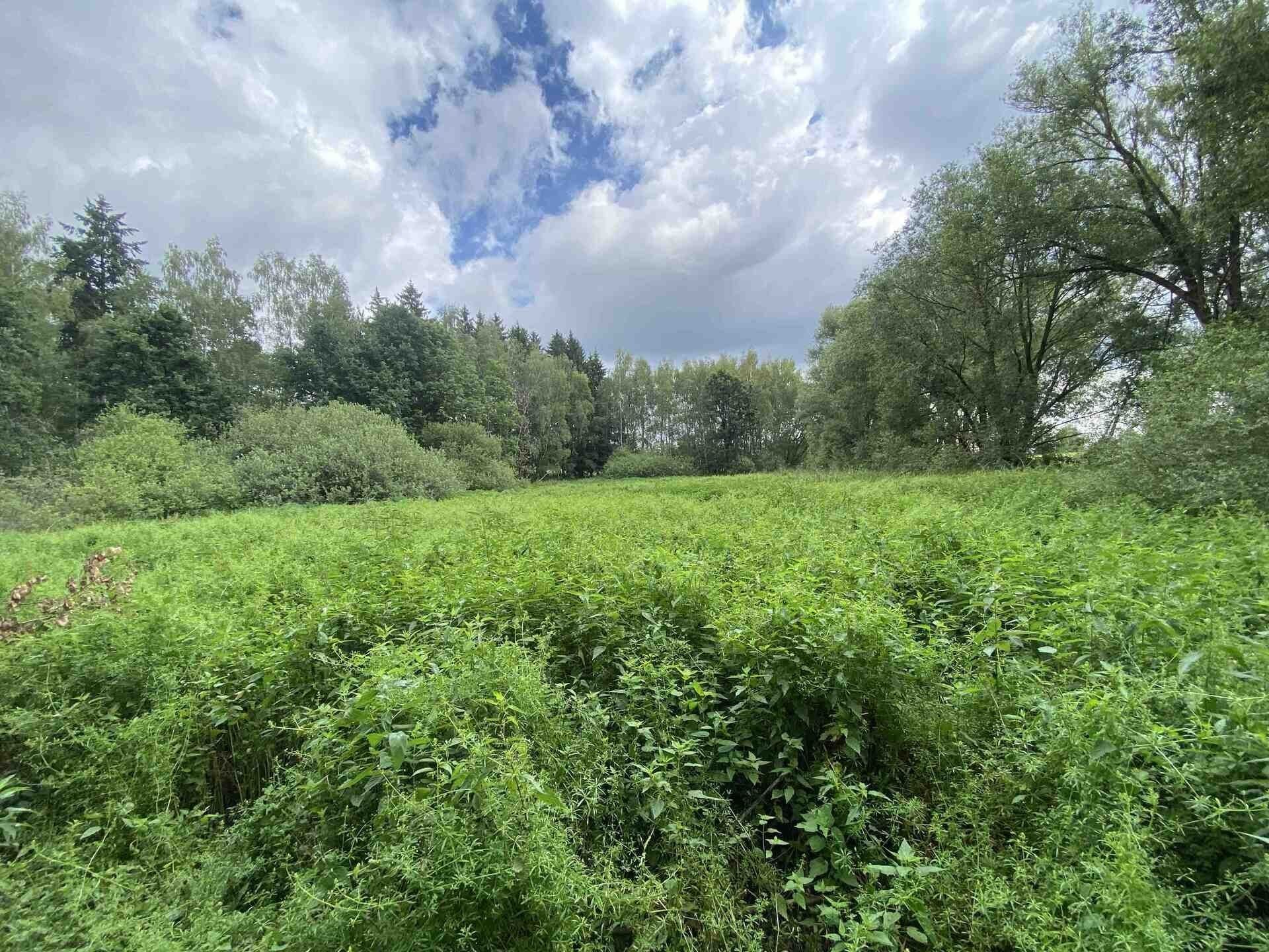 Rybníky, Nové Hrady Štiptoň, 6 751 m² - 1