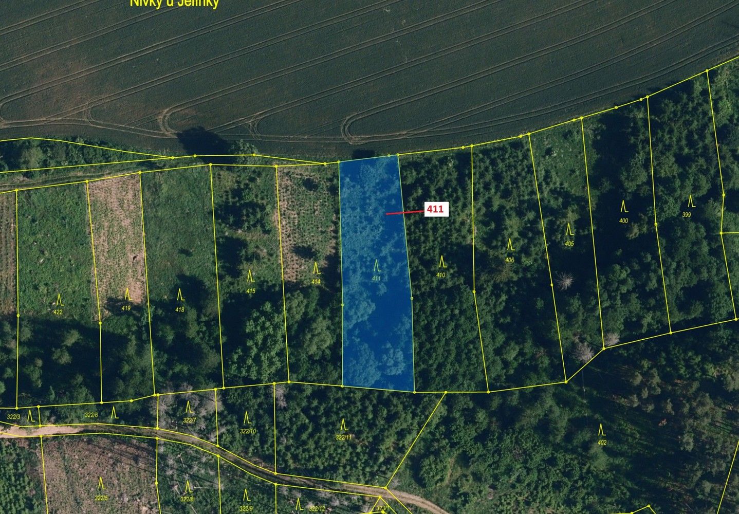 Lesy, Chotěbudice, okres Třebíč, Kraj Vysočina - 2