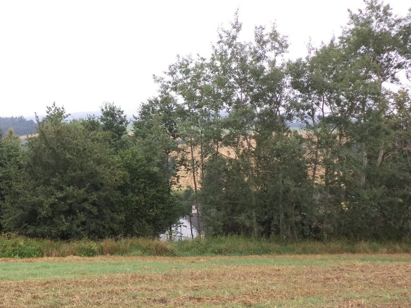 Louka · Radkov, okres Svitavy, Pardubický kraj - 3