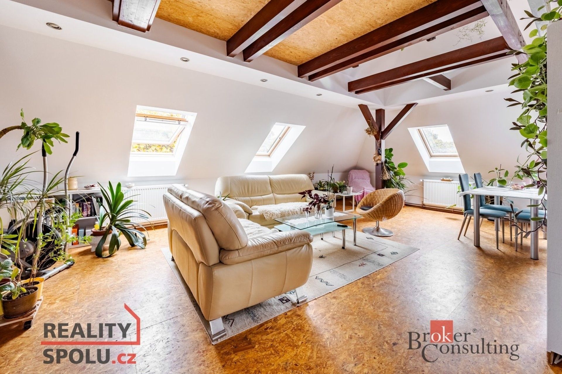Rodinný dům · 465 m² · Petra Chelčického, Vodňany - 3