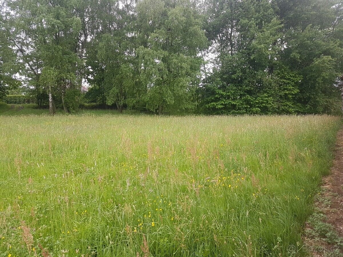 Pozemky pro bydlení, Řehořov, 588 24