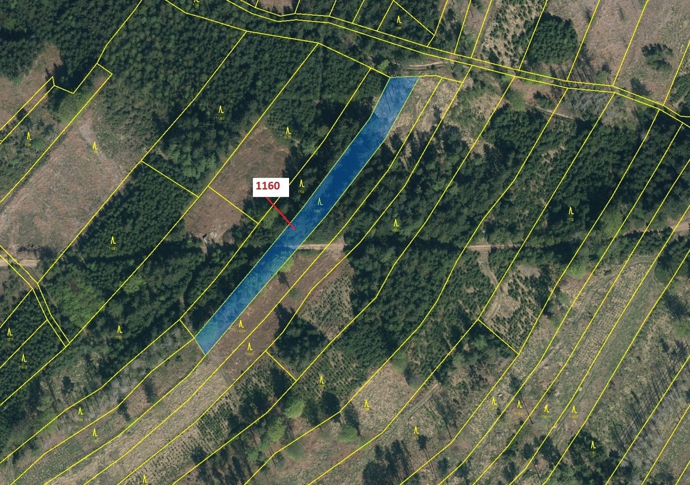 Prodej les - Vilice, okres Tábor, Jihočeský kraj - 2