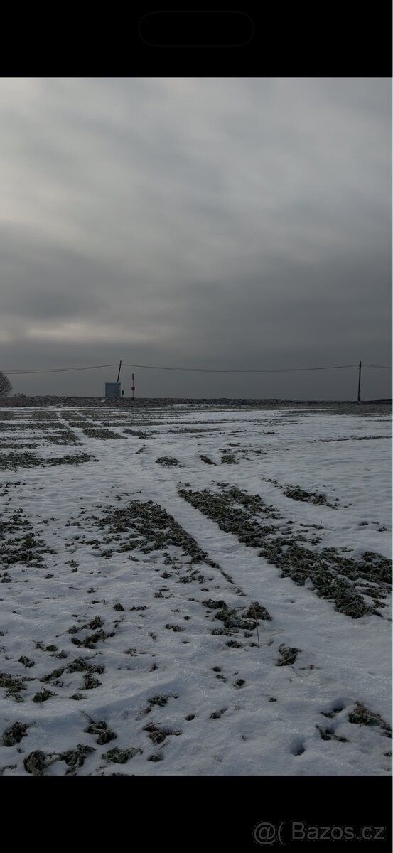 Pozemky pro bydlení, Oleška u Českého Brodu, 281 62