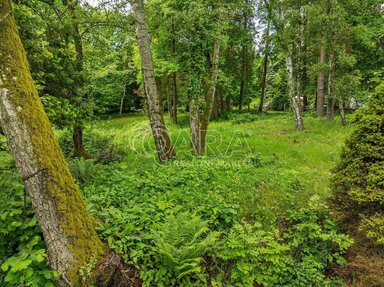 Prodej pozemek pro bydlení - Hrubá Skála, okres Semily, Liberecký kraj - 5