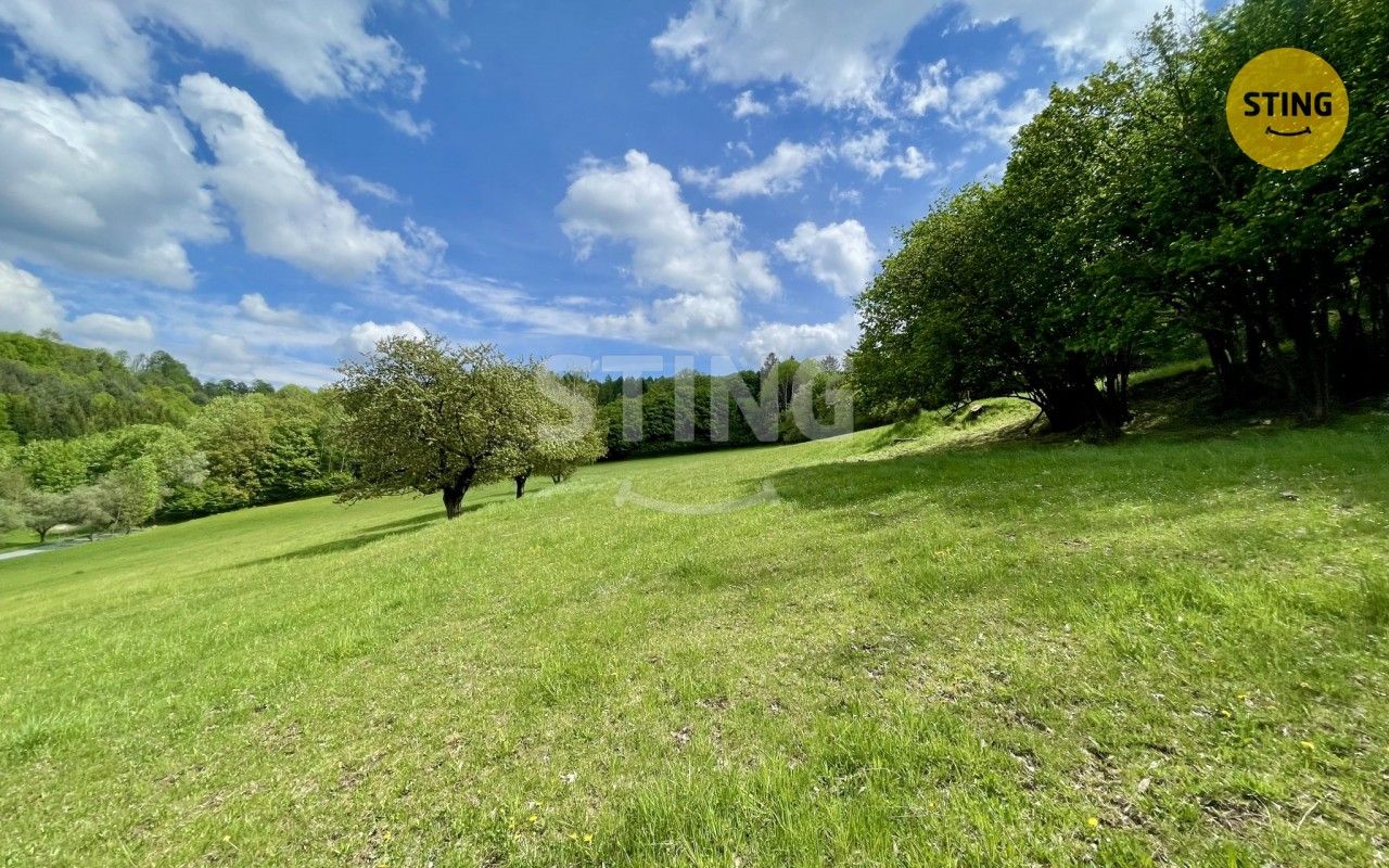 Les · 16 440 m² · Pěčíkov, Městečko Trnávka - 4