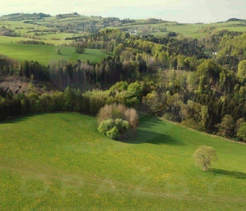 Prodej zemědělský pozemek - Hynčice nad Moravou, Hanušovice, 15 879 m²