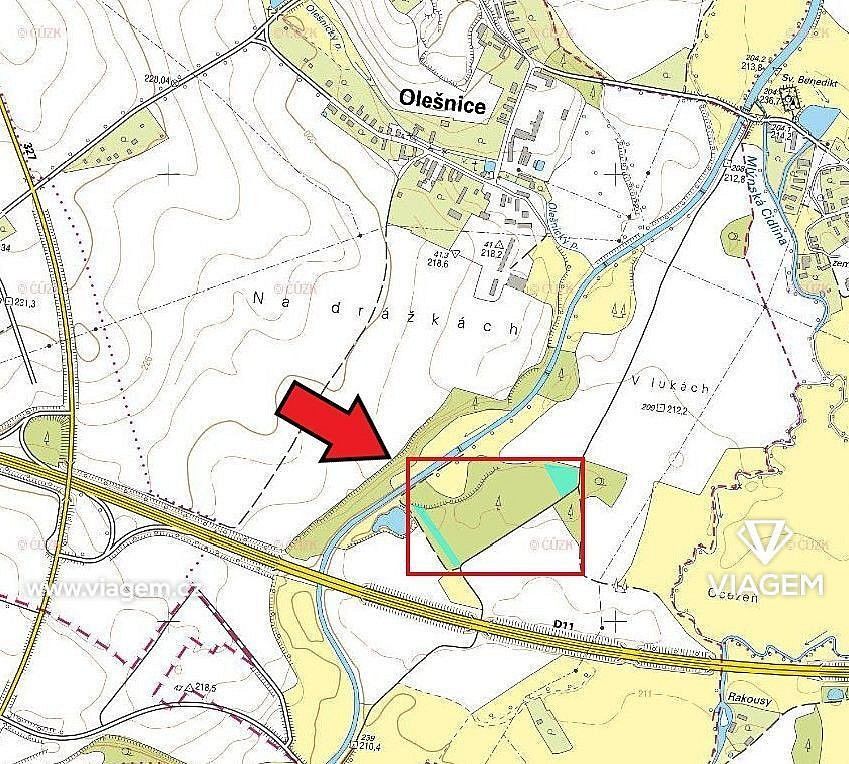 Les · Olešnice, okres Hradec Králové, Královéhradecký kraj - 3