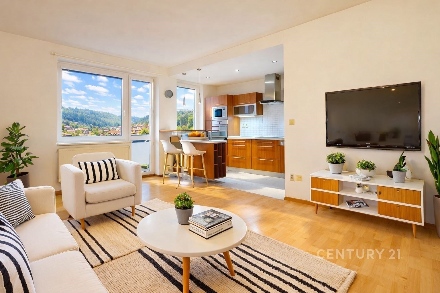 Prodej byt 2+kk - Živného, Brno, 65 m²