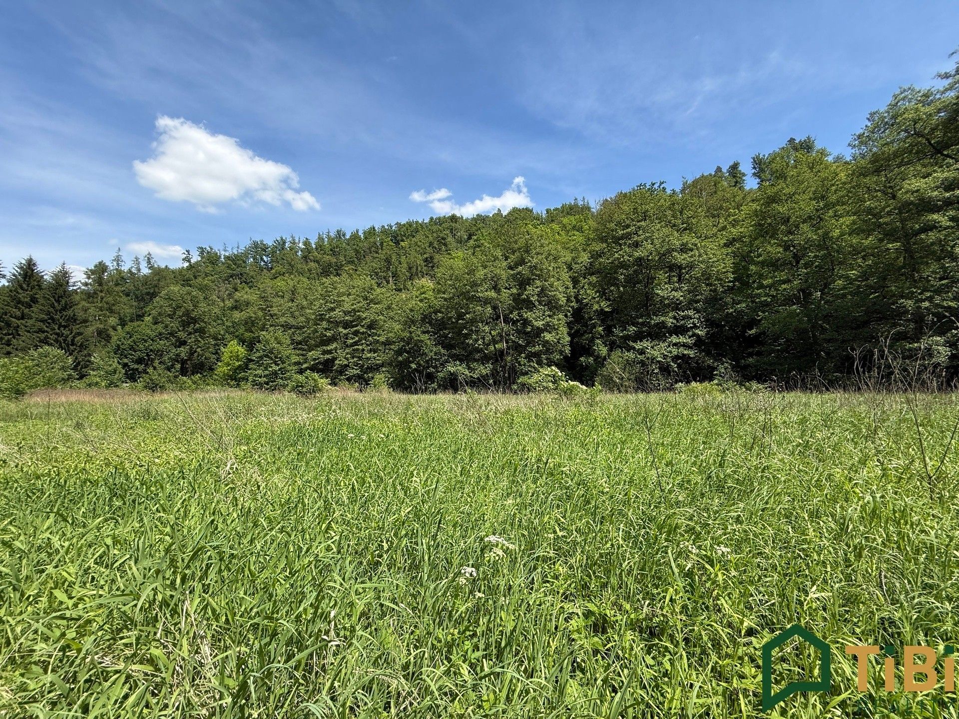 Louky, Bílovice nad Svitavou, 3 200 m²