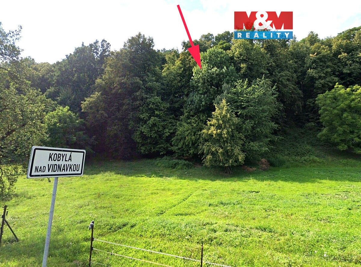 Pozemky pro bydlení, Kobylá nad Vidnavkou, 790 65