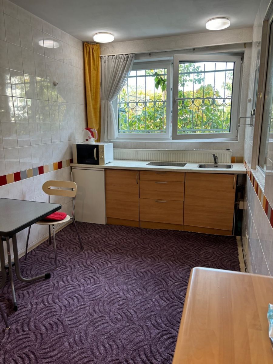 1+kk, Roztylské sady, Praha - Záběhlice, 20 m² - 1