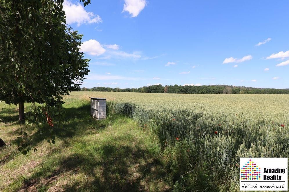 Pozemky pro bydlení, Písek, 397 01 - 2