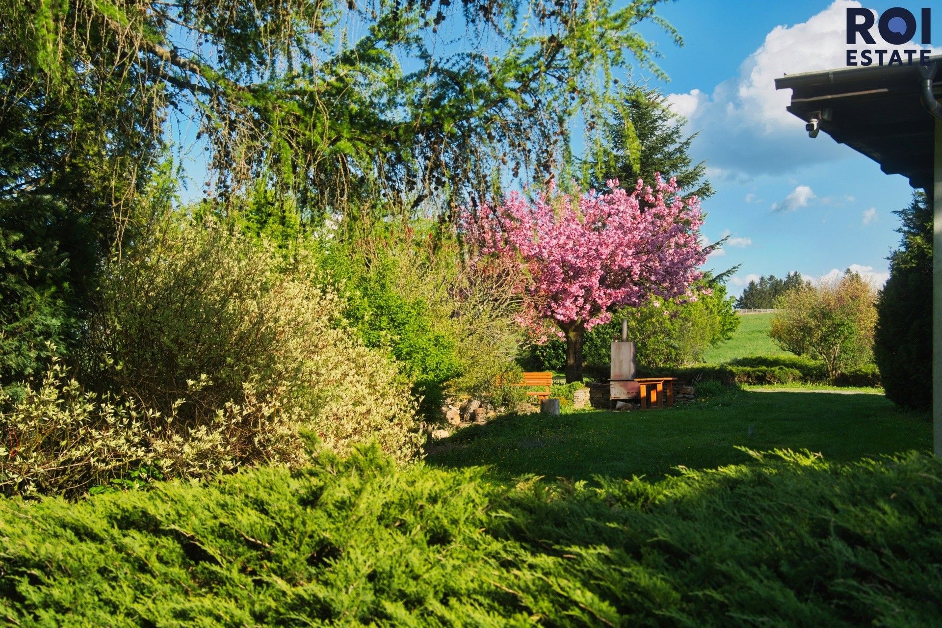 Prodej komerční - Jedlina, Klášterec nad Orlicí, 575 m² - 5
