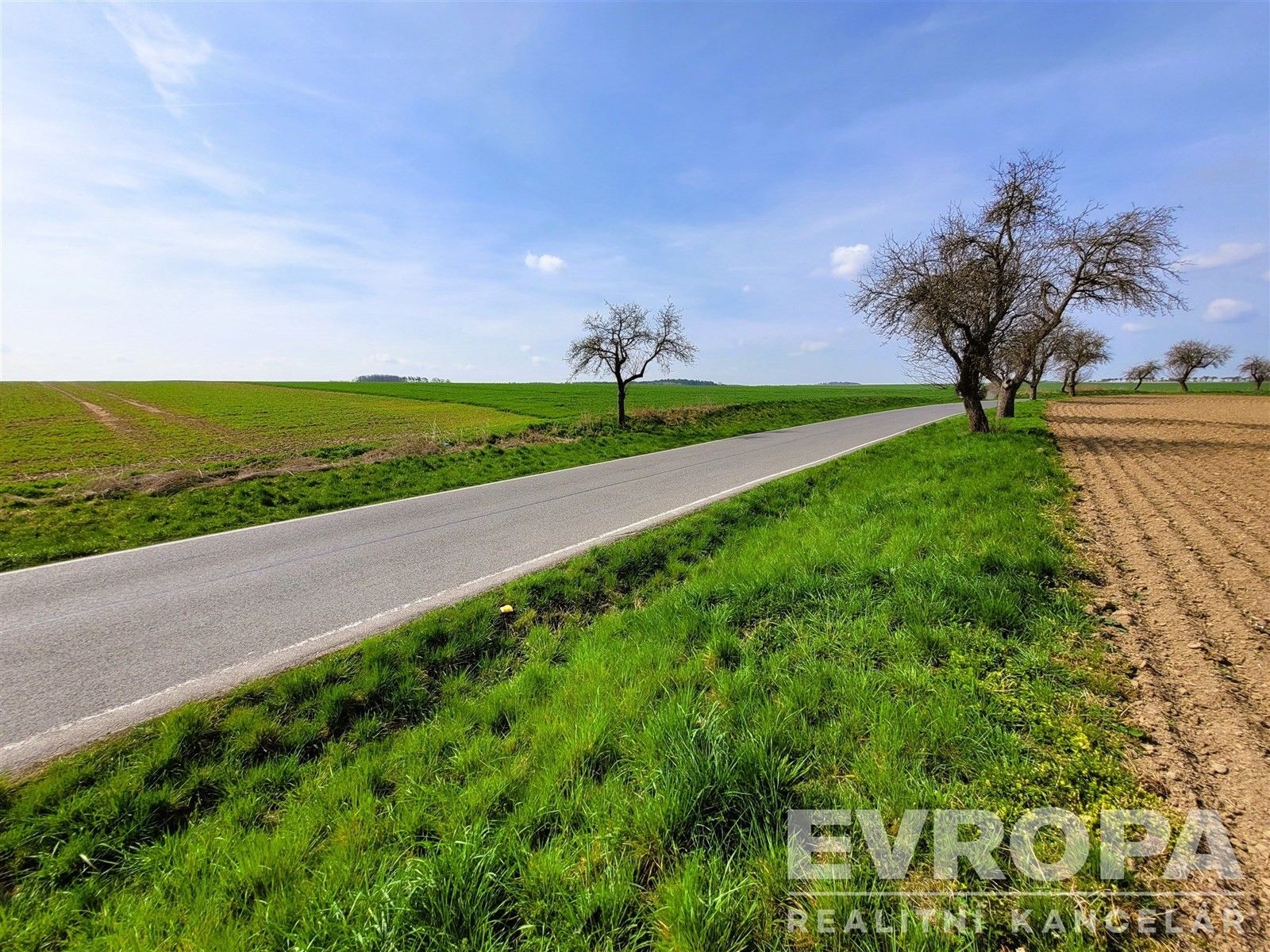 Prodej zemědělský pozemek - Čistá