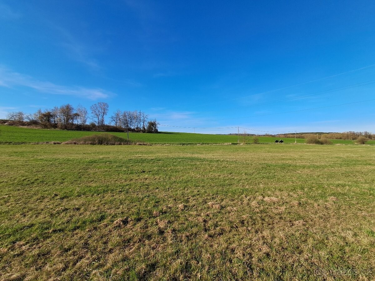 Prodej pozemek pro bydlení - Horšovský Týn, 346 01 - 5