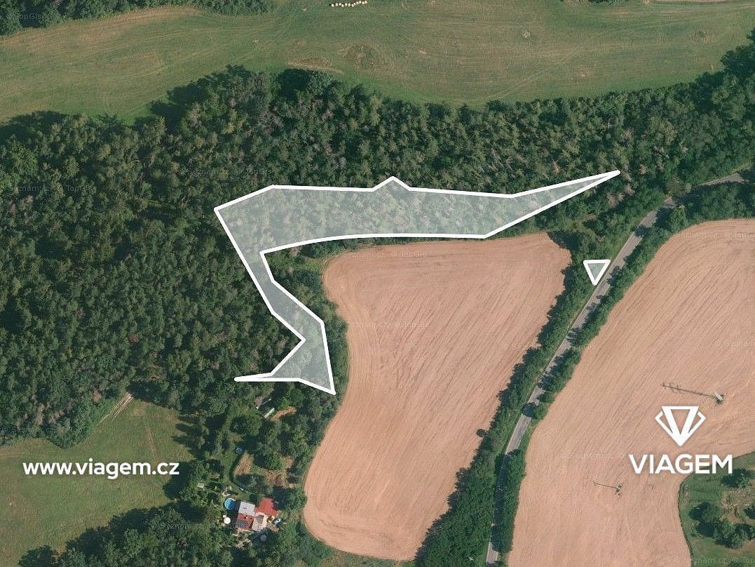 Les · Čím, okres Příbram, Středočeský kraj - 4