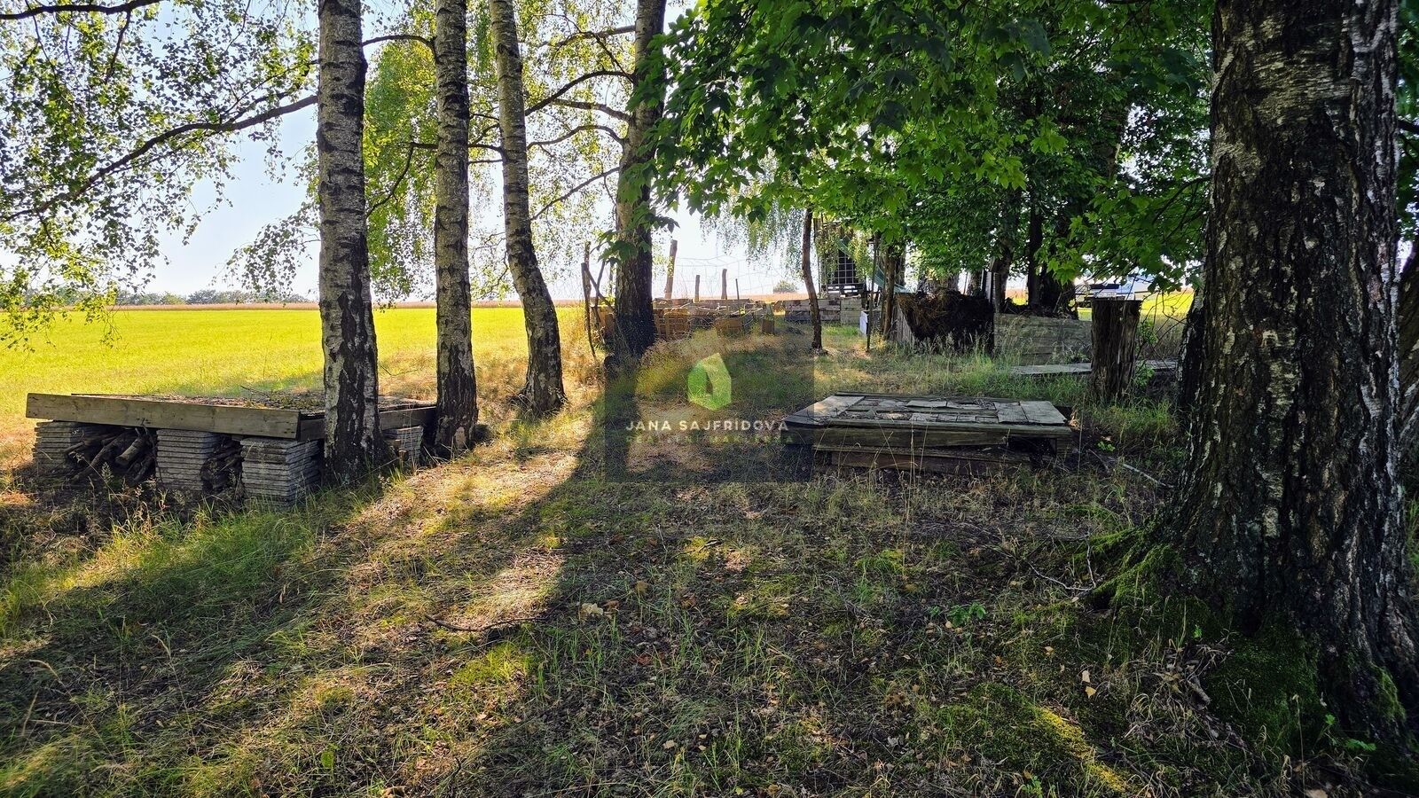 Prodej ostatní - Velké Petrovice, 14 m² - 5
