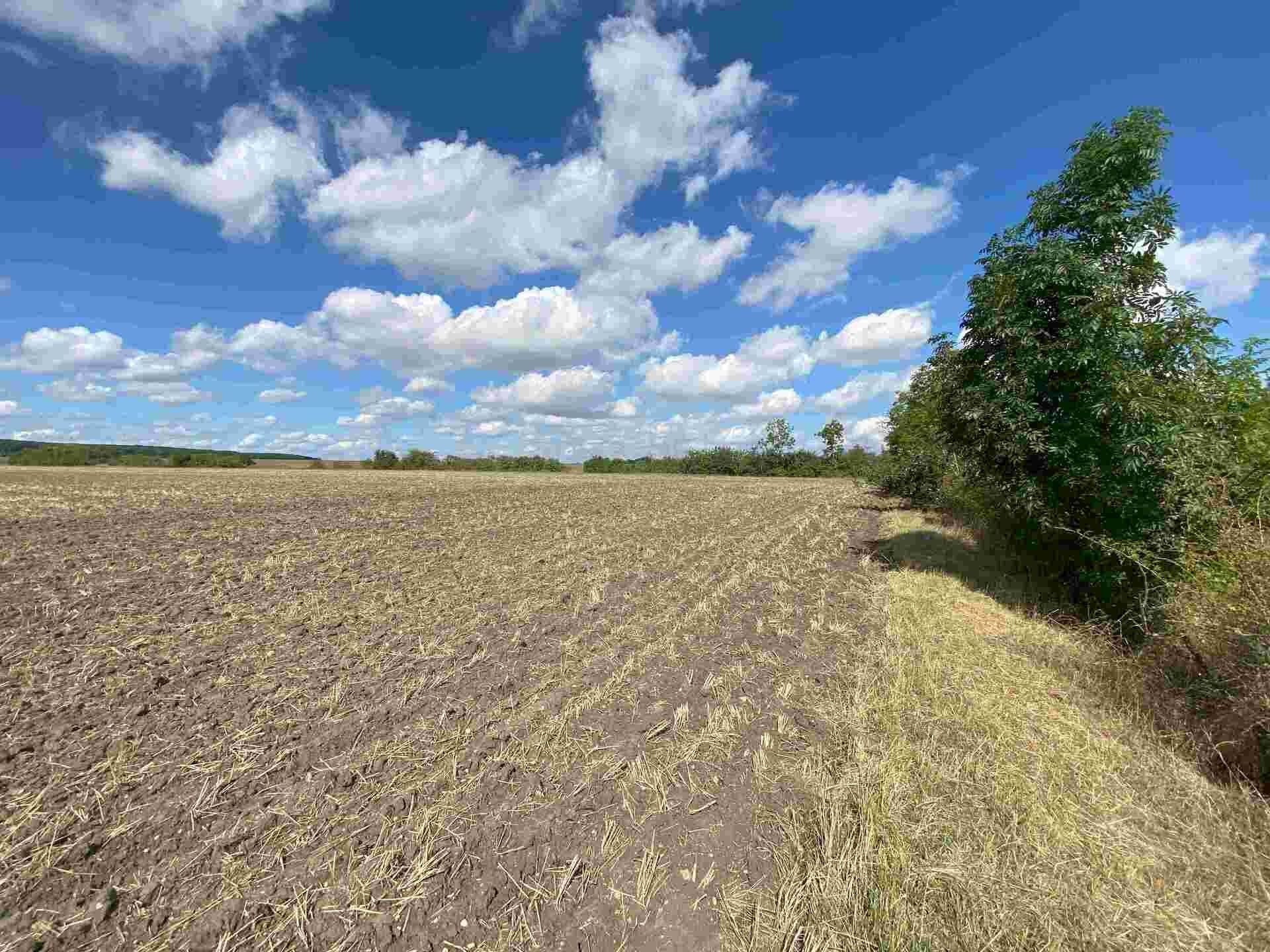 Ostatní, Nový Bydžov Zábědov, 1 857 m² - 1