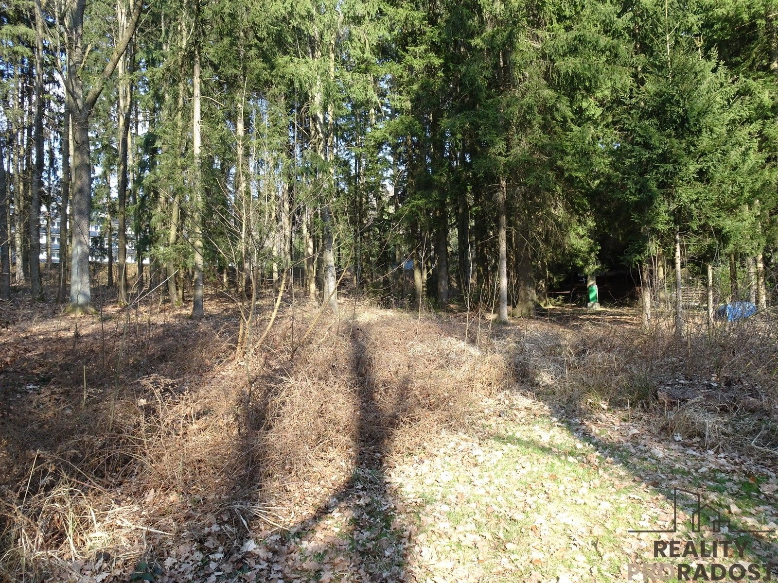 Prodej les - Seč, 637 m² - 2