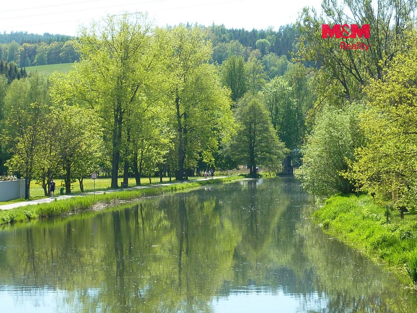 Prodej louka - Náchod, Královéhradecký kraj - 5