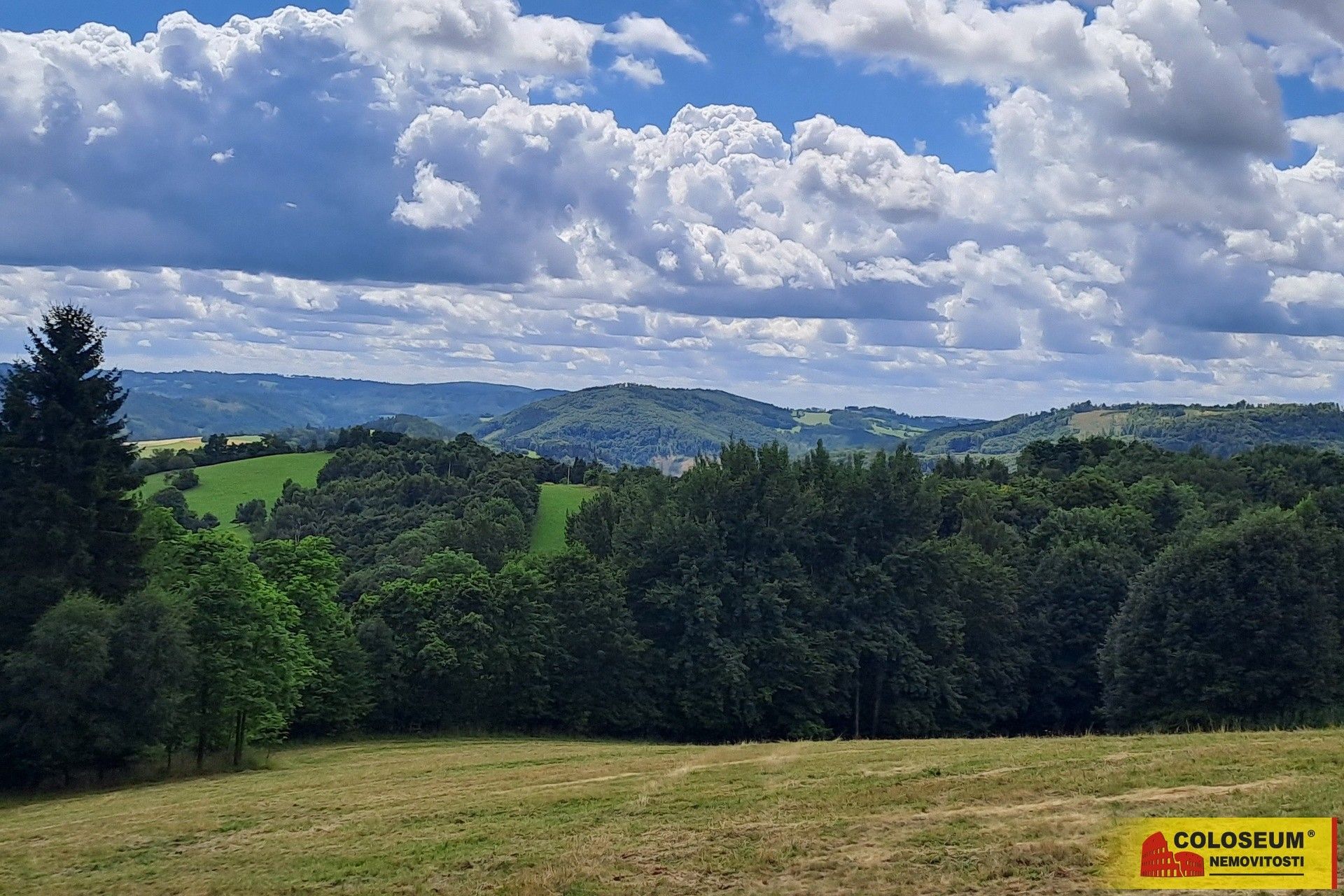 Les · Dalečín Hluboké - 3