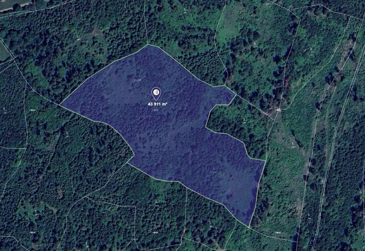 Lesy, Olšovec, 43 911 m² - 1
