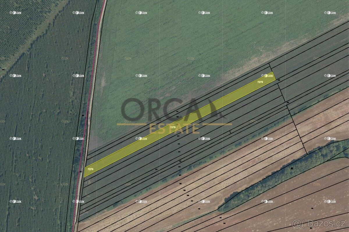 Prodej zemědělský pozemek - Bánov u Uherského Brodu, 687 54, 295 m²