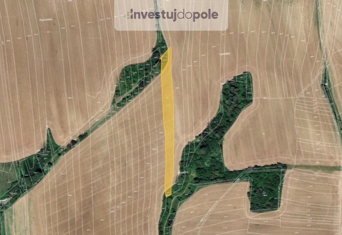 Prodej zemědělský pozemek - Zdounky, 768 02, 5 441 m²