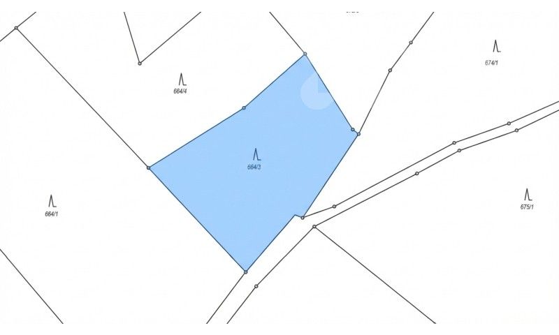 Prodej les - Bohdalovice, Velké Hamry