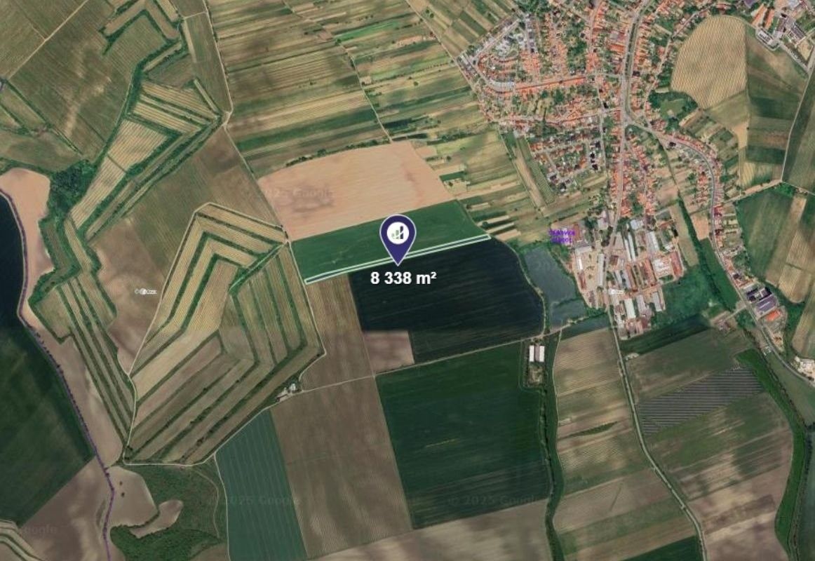 Zemědělské pozemky, Čejkovice, 4 169 m² - 2