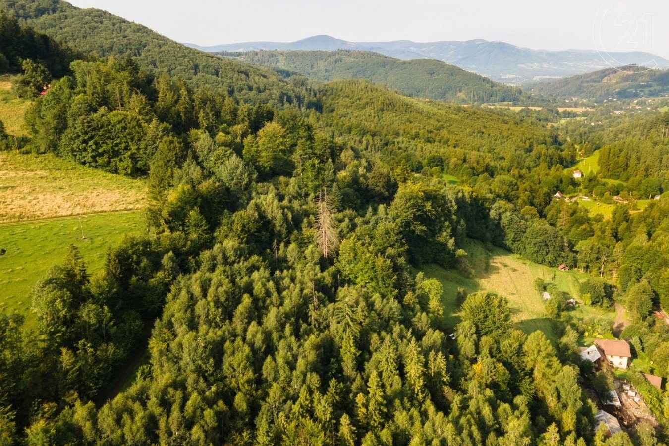 Lesy, Nýdek, 20 558 m²