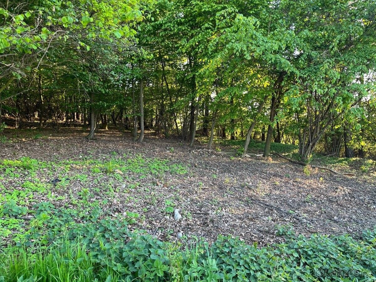 Pronájem pozemek pro bydlení - Opava, 747 06