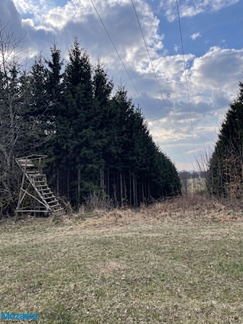 Les · 51 563 m² · Horní Heřmanice - 3