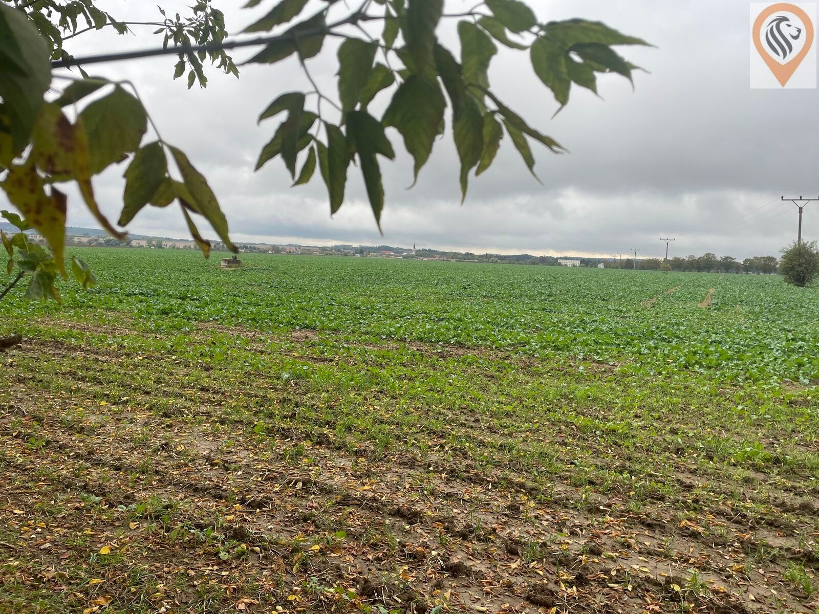 Zemědělský pozemek · 7 001 m² · Úhonice - 4