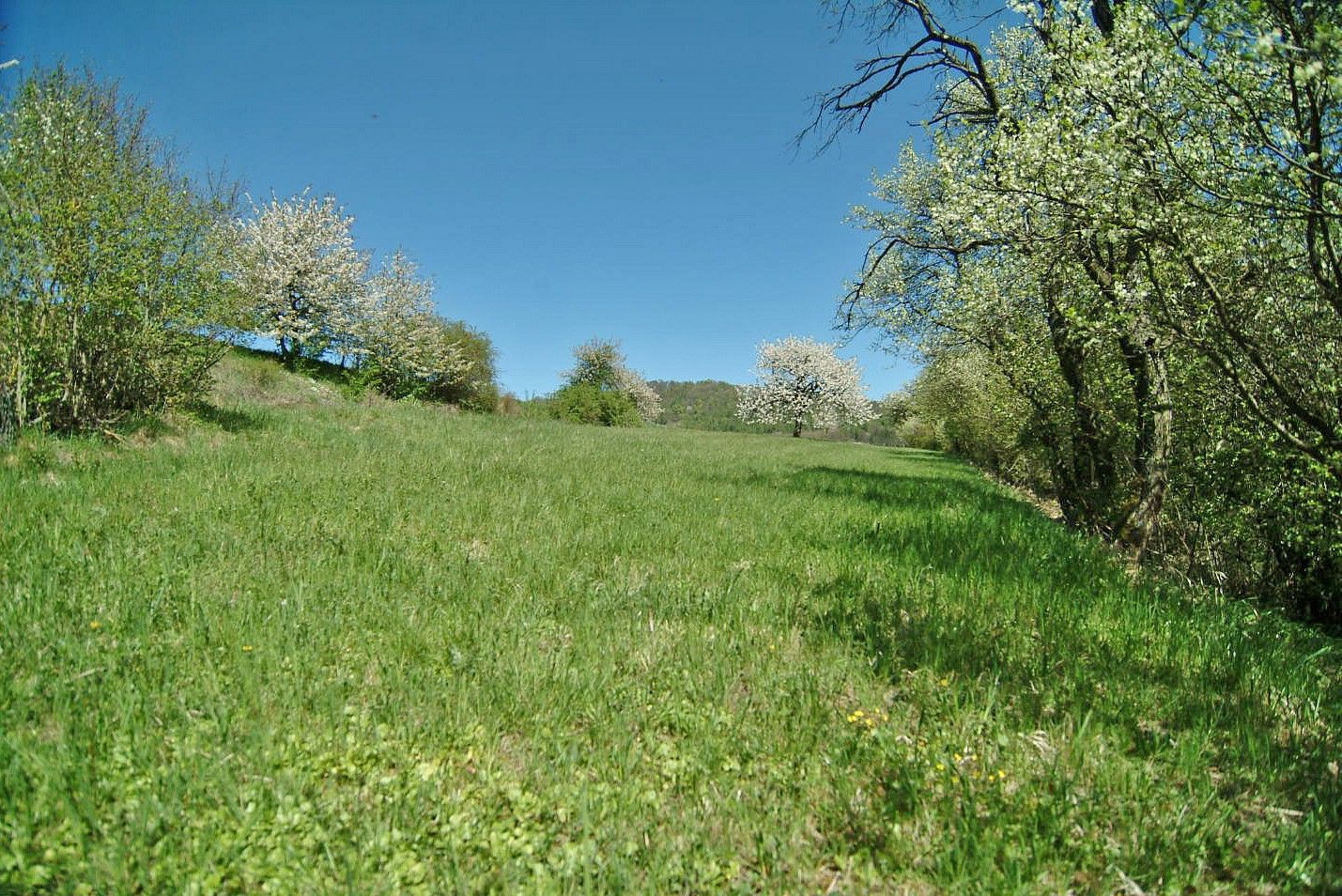 Prodej louka - Kněžnice, okres Jičín, Královéhradecký kraj - 2