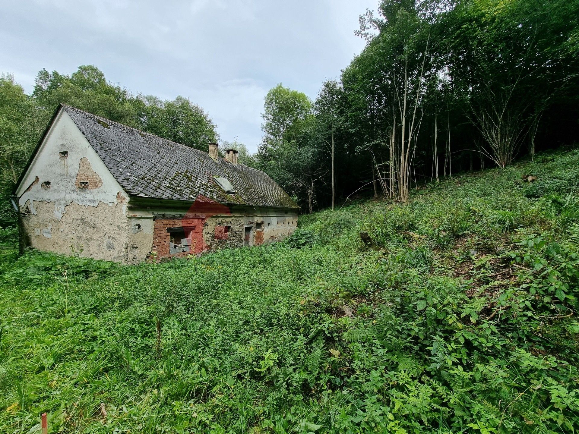 Chalupy, Skorošice Petrovice, 100 m² - 2