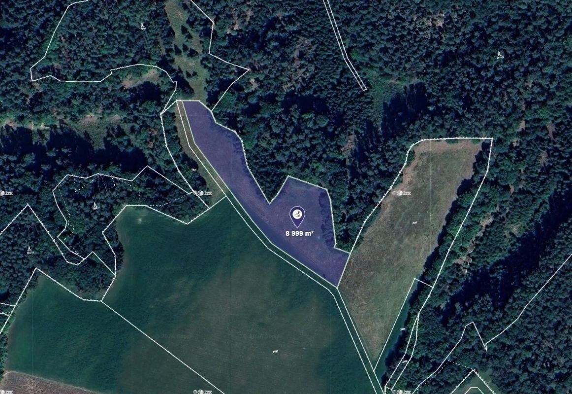 Zemědělské pozemky, Dobřeň, 8 999 m² - 1
