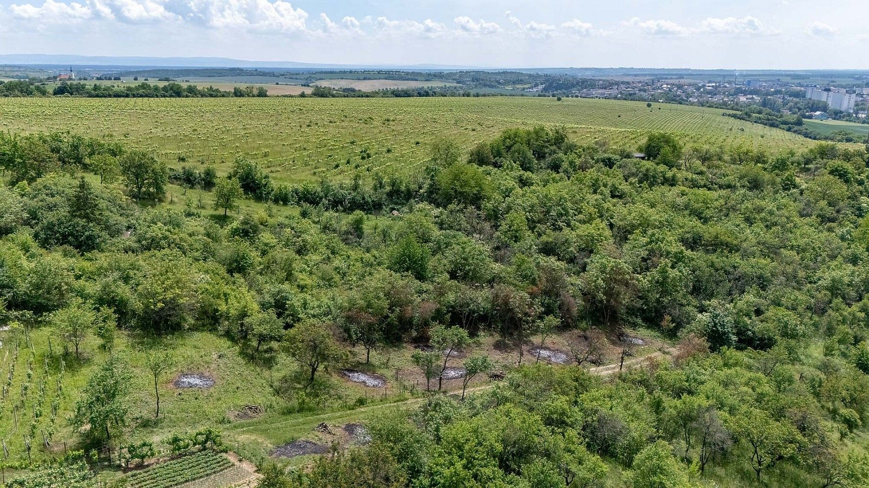 Zahrady, Kyjov, okres Hodonín, Jihomoravský kraj - 1