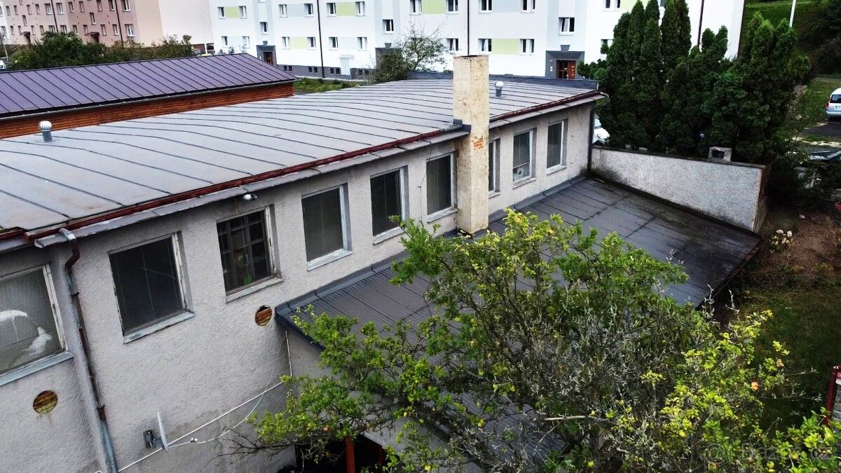 Prodej ostatní - Ledeč nad Sázavou, 584 01