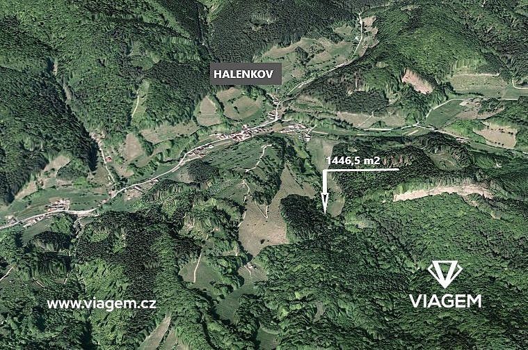 Prodej les - Halenkov, okres Vsetín, Zlínský kraj - 1