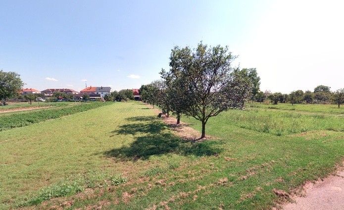 Pozemky pro bydlení, Radslavice, 1 505 m²