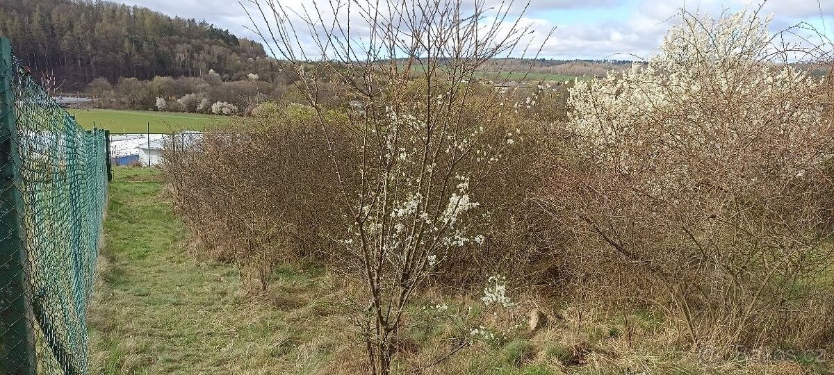 Prodej pozemek pro bydlení - Domašov u Brna, 664 83