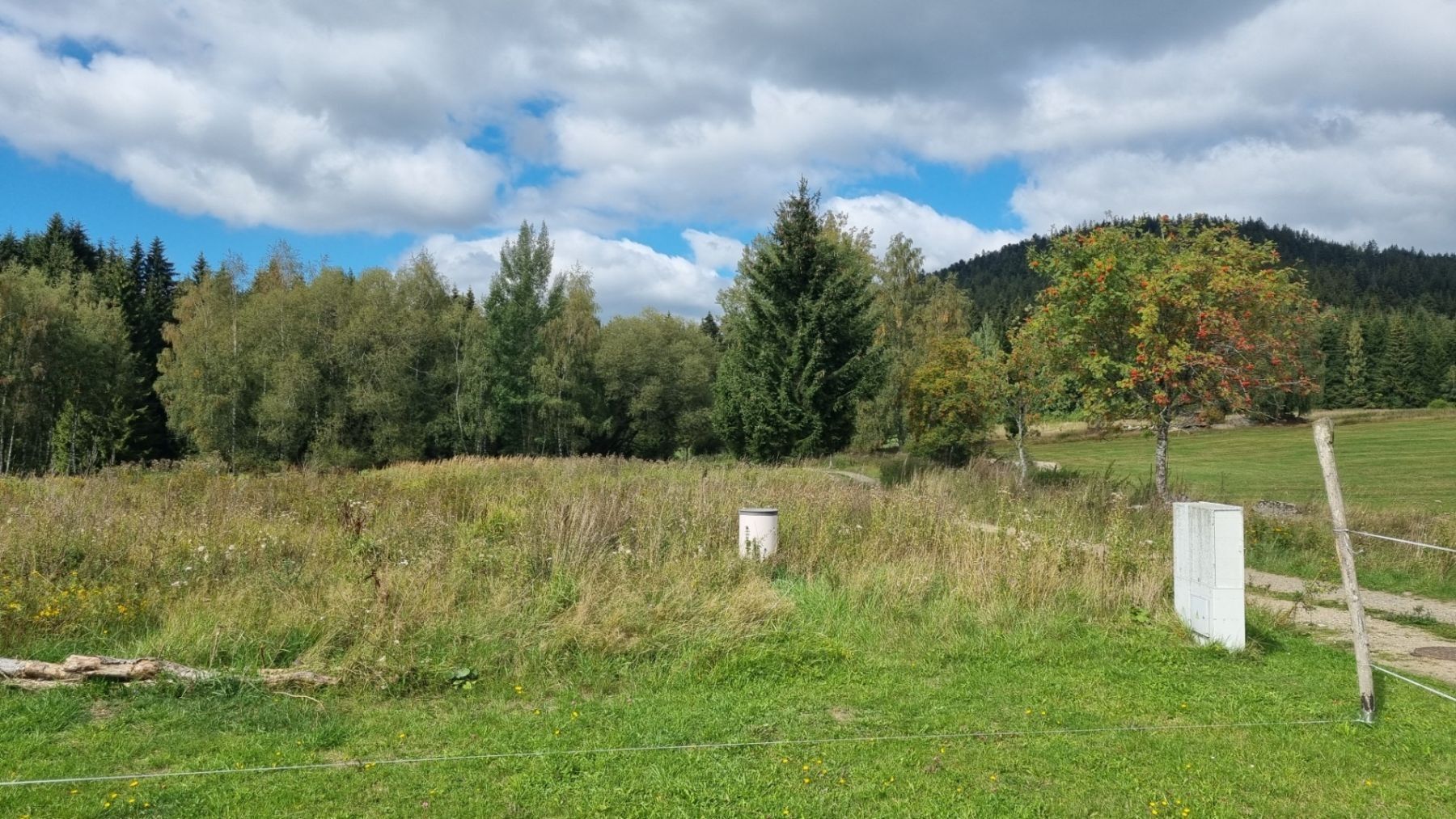 Prodej pozemek pro bydlení - Srní - Srní I, Plzeňský kraj - 5