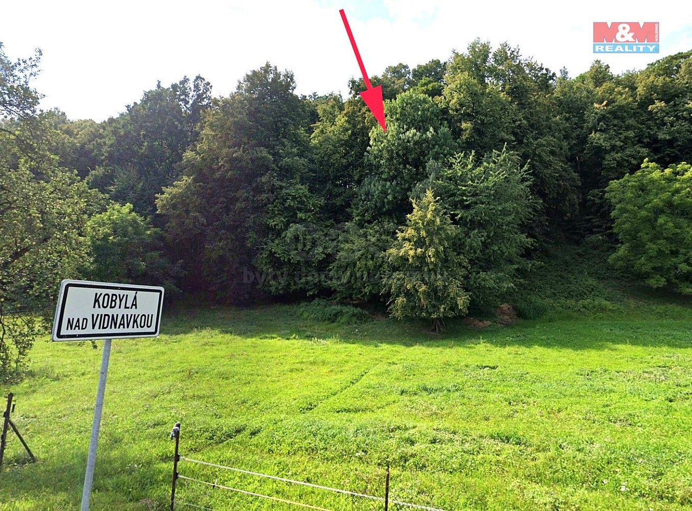 Lesy, Kobylá nad Vidnavkou, okres Jeseník, Olomoucký kraj - 1